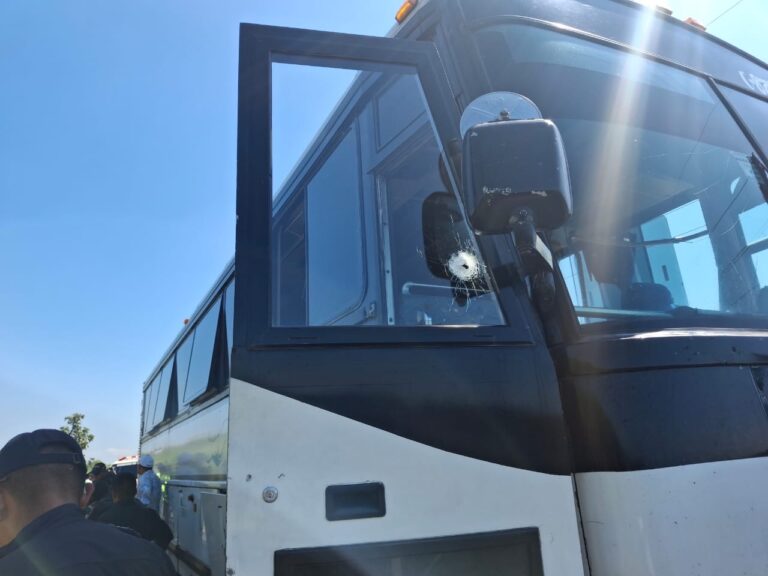 11c98555-f3da-4d1d-aae5-9e7930535875