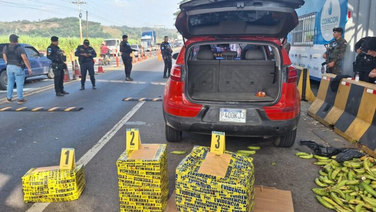 FB_IMG_1763906229497_edit_290014093945326