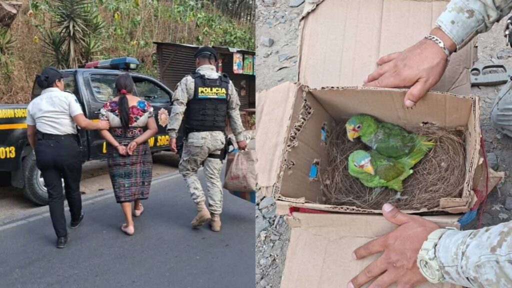 GridArt_20260227_191353094