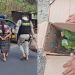 GridArt_20260227_191353094