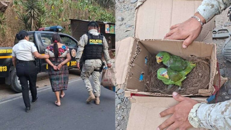 GridArt_20260227_191353094