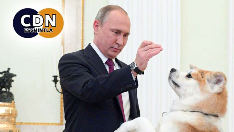 POST-CDN-2026